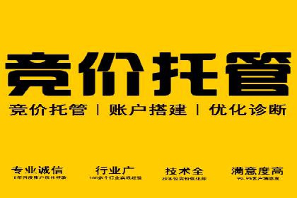 某某企业SEM营销案例：从SEM到全渠道营销的转型之路